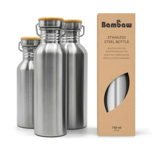 Stainless Steel Bottle