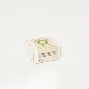 Fast schampo björk-skogsdoft 60 g