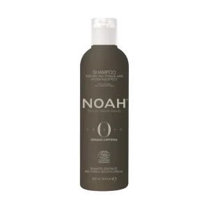 Dry & Opaque Hair Shampoo | ORIGINS